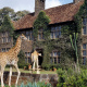 Giraffe Manor