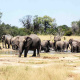 Hwange National Park