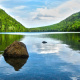 Bubble Pond