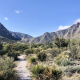 Guadalupe Mountains