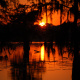 Atchafalaya Basin