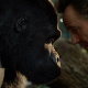 Bryan Cranston