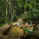 Odzala-Kokoua National Park
