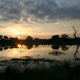 Mole National Park
