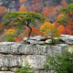 Cumberland Plateau