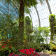 Butterfly Garden