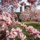 Smithsonian Castle