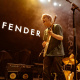 Fender