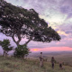 Maasai