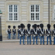 Danish Royal Life Guards