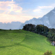 Swiss Alps