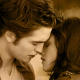 Twilight New Moon
