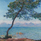 Pine Tree