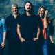 Taylor Hawkins