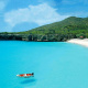 Grote Knip