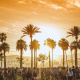 Indio Valley