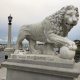 Ponce de Leon