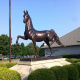 American Saddlebred Museum