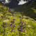 Garhwal Himalayas