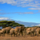 Mount Kilimanjaro