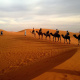Sahara
