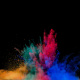 Holi