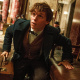 Fantastic Beasts