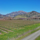 Mount Saint Helena