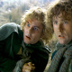 Merry Brandybuck