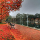 Finlay Park