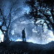 Blue Fairy