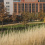 Ohio State University Wexner Medical Center