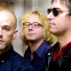 Mike Mills
