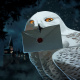 Hogwarts