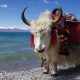 Namtso Lake
