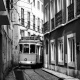 Estrela