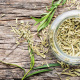 Tarragon (Herb)