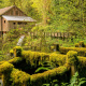 Cedar Creek Grist Mill