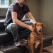 Nova Scotia Duck Tolling Retriever