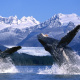Alaska