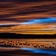 Bosque del Apache