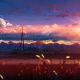 5 Centimeters per Second