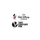 Walt Disney Company