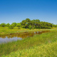 Texas