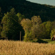 Abbott family farmhouse