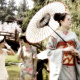 Maiko