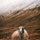 Faroese