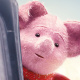 Piglet