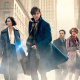 Newt Scamander