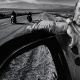 Wayne Unser